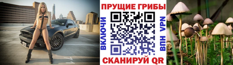 Галлюциногенные грибы Magic Shrooms  Балашов 