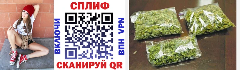 Канабис White Widow  omg tor  Балашов 